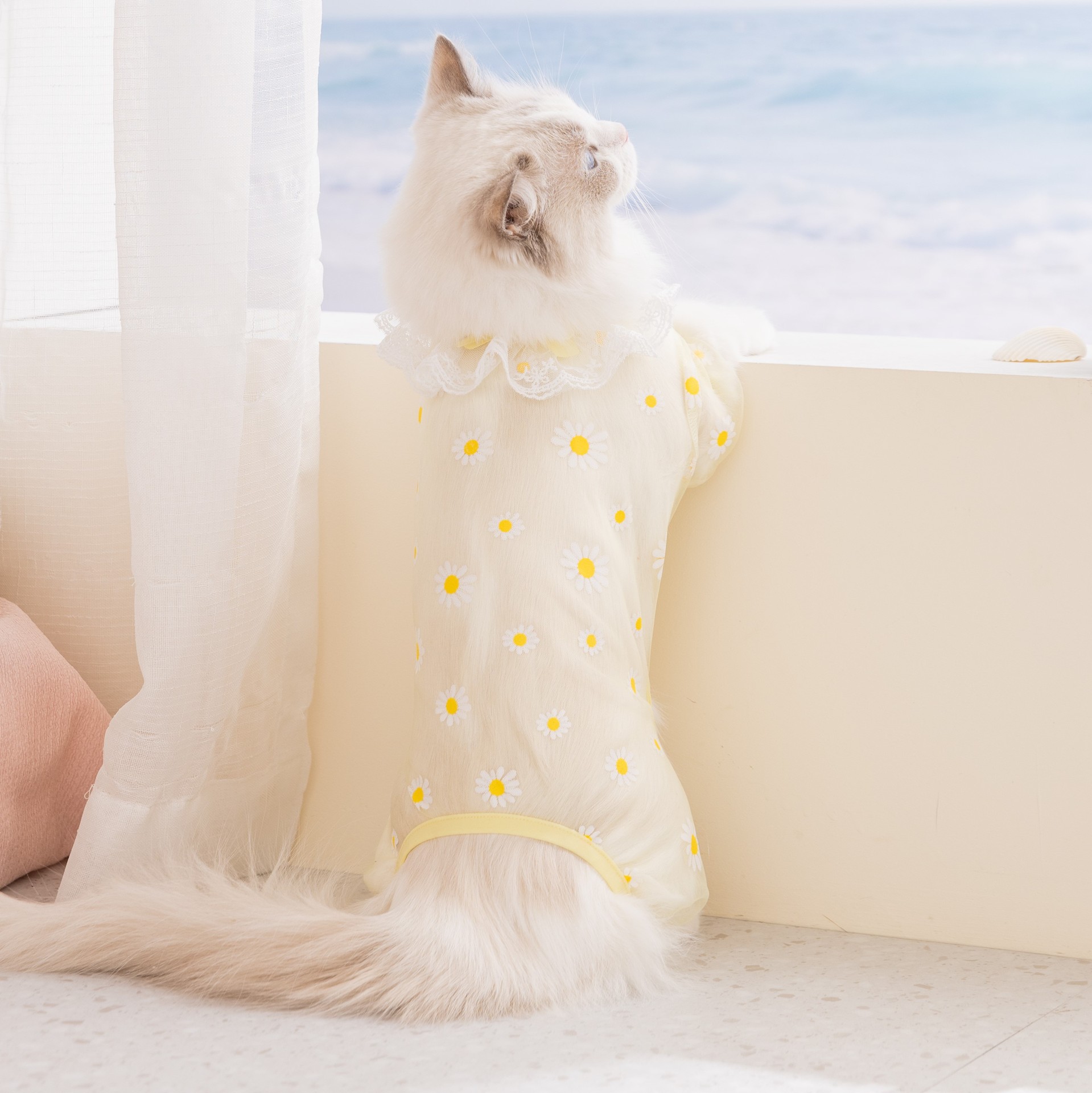 Abbigliamento per gatti primav - Summer Clothing Wraps recensione e prezzo