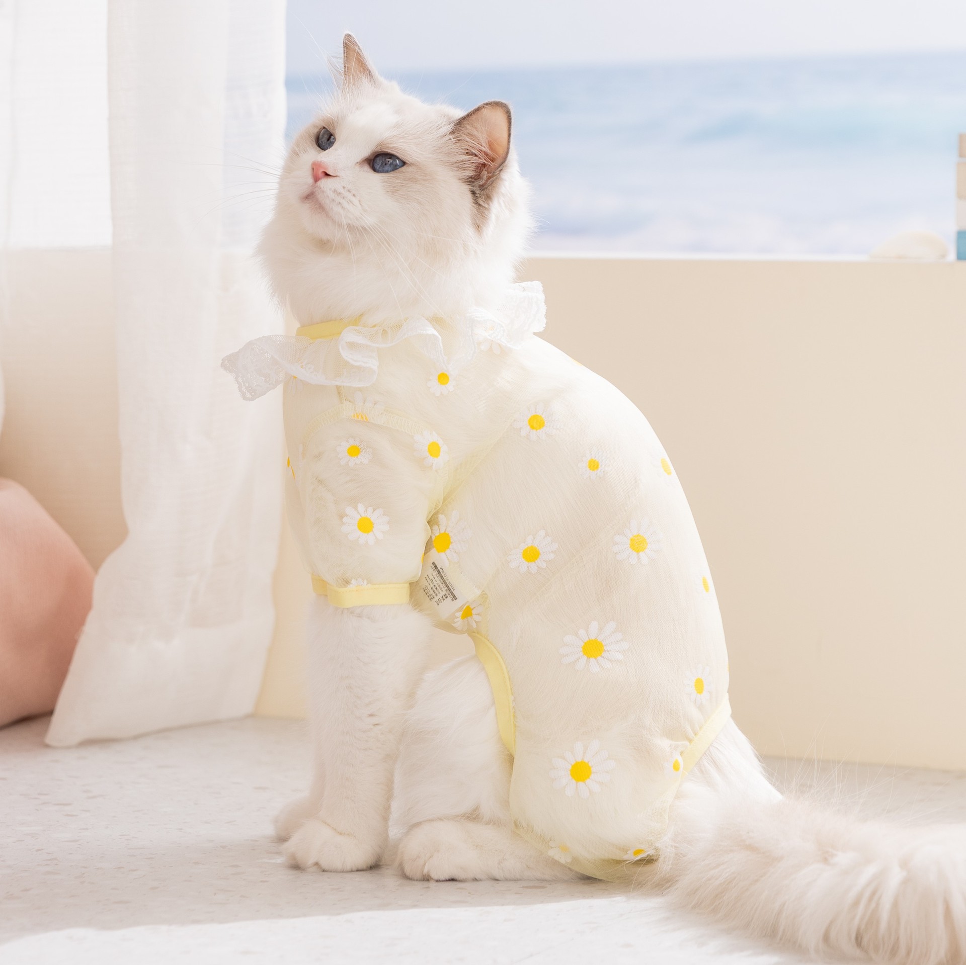 Abbigliamento per gatti primav - Summer Clothing Wraps recensione e prezzo